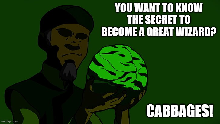 Cabbages! | YOU WANT TO KNOW THE SECRET TO BECOME A GREAT WIZARD? CABBAGES! | image tagged in wizard,hogwarts,harry potter,avatar the last airbender,the legend of korra | made w/ Imgflip meme maker