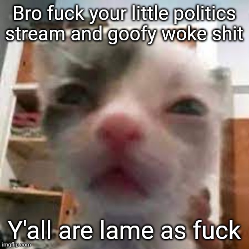 2 upvotes and i post in politics | Bro fuck your little politics stream and goofy woke shit; Y'all are lame as fuck | image tagged in cat lightskin stare | made w/ Imgflip meme maker