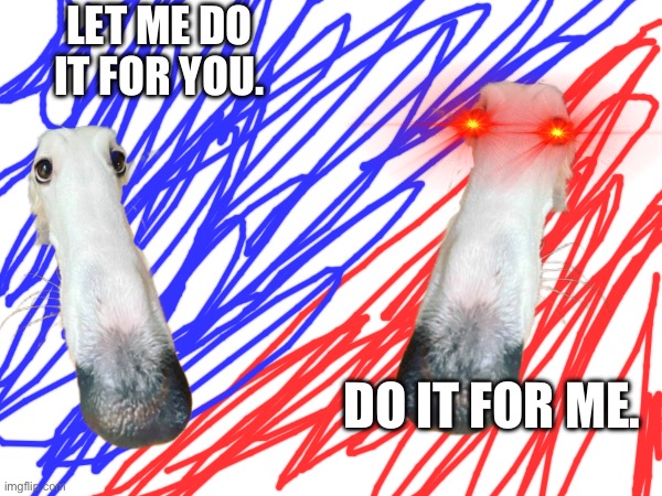 Do it. Let me. | LET ME DO IT FOR YOU. DO IT FOR ME. | image tagged in dog,memes | made w/ Imgflip meme maker