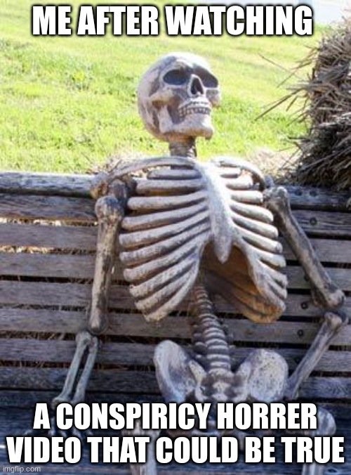 true | ME AFTER WATCHING; A CONSPIRICY HORRER VIDEO THAT COULD BE TRUE | image tagged in memes,waiting skeleton | made w/ Imgflip meme maker