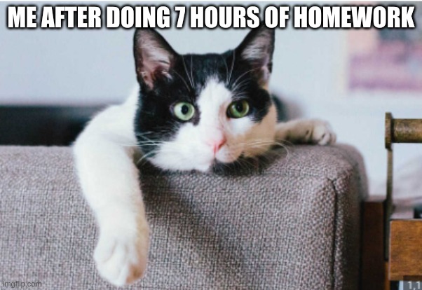 ME AFTER DOING 7 HOURS OF HOMEWORK | image tagged in homework | made w/ Imgflip meme maker