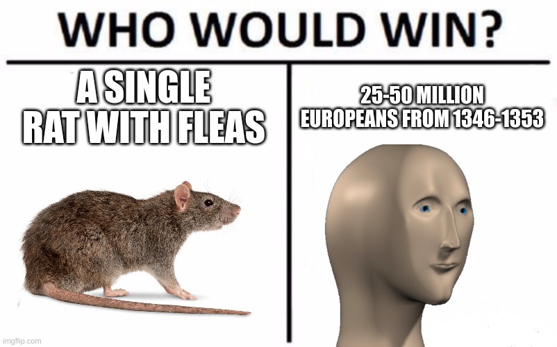Who Would Win? | A SINGLE RAT WITH FLEAS; 25-50 MILLION EUROPEANS FROM 1346-1353 | image tagged in memes,who would win | made w/ Imgflip meme maker