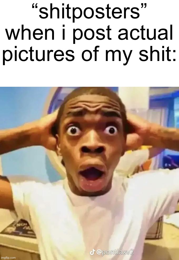 ㅤ | “shitposters” when i post actual pictures of my shit: | made w/ Imgflip meme maker
