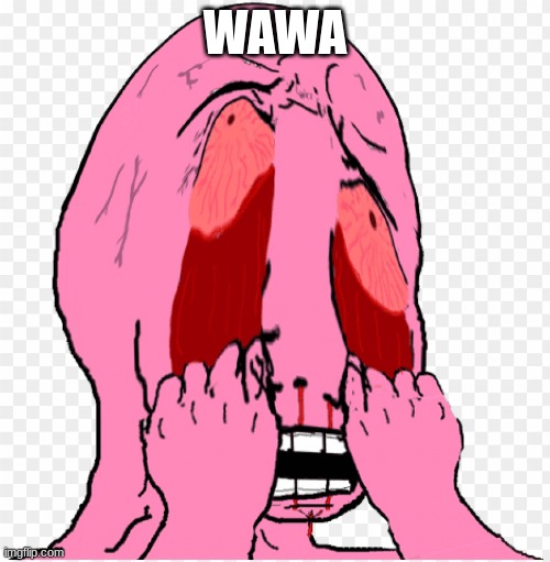 me when | WAWA | made w/ Imgflip meme maker