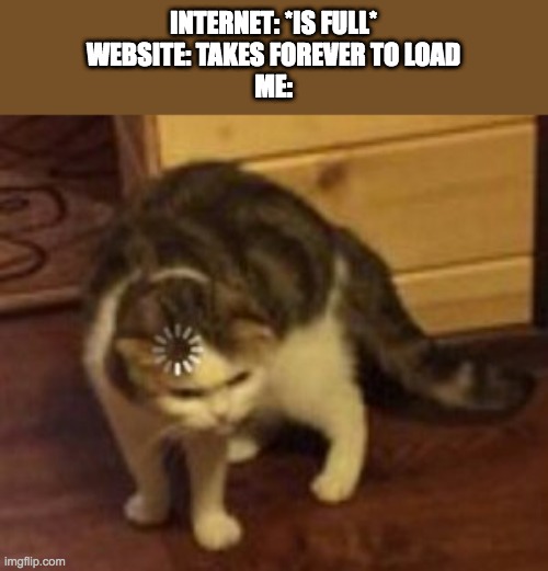 internet.exe has stopped working | INTERNET: *IS FULL*
WEBSITE: TAKES FOREVER TO LOAD
ME: | image tagged in loading cat | made w/ Imgflip meme maker
