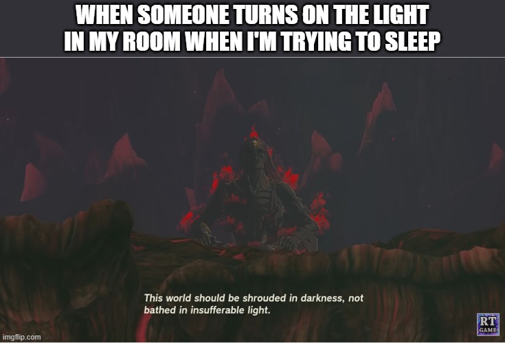 WHEN SOMEONE TURNS ON THE LIGHT IN MY ROOM WHEN I'M TRYING TO SLEEP | image tagged in memes | made w/ Imgflip meme maker