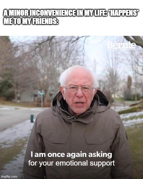 I swear my friends hate me... | A MINOR INCONVENIENCE IN MY LIFE: *HAPPENS*
ME TO MY FRIENDS:; for your emotional support | image tagged in memes,bernie i am once again asking for your support,relatable | made w/ Imgflip meme maker