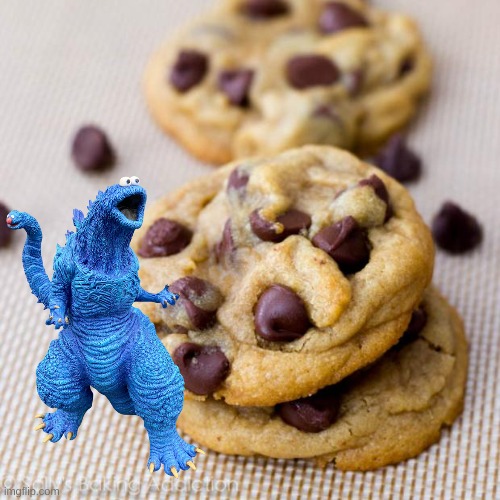 COOOOOOOOOOOOOKIE | image tagged in punny cookies | made w/ Imgflip meme maker