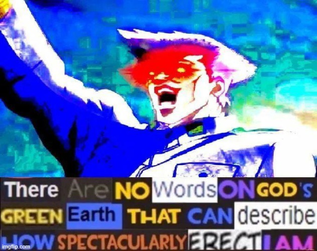 there are no words to describe how spectacularly erect i am | image tagged in there are no words to describe how spectacularly erect i am | made w/ Imgflip meme maker