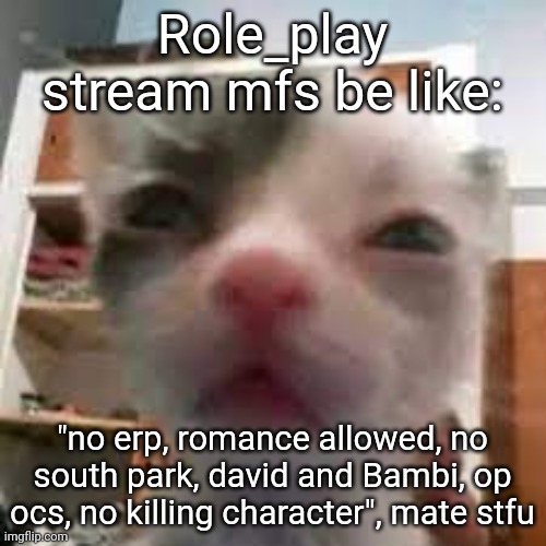 FR FR ONG?! | Role_play stream mfs be like:; "no erp, romance allowed, no south park, david and Bambi, op ocs, no killing character", mate stfu | image tagged in cat lightskin stare | made w/ Imgflip meme maker