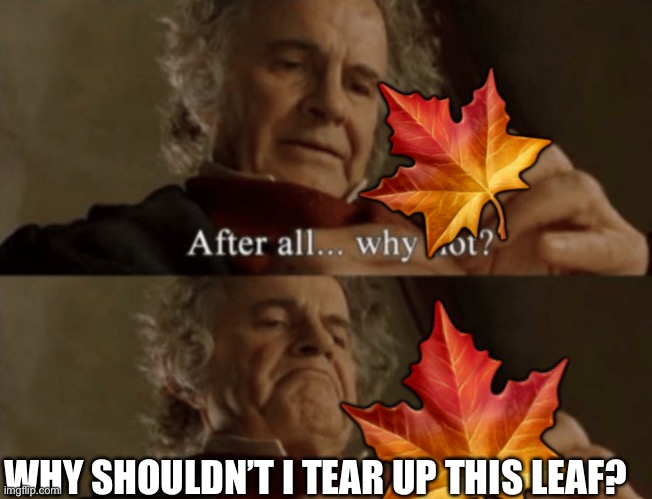 Leaf | 🍁; 🍁; WHY SHOULDN’T I TEAR UP THIS LEAF? | image tagged in after all why not,leafs | made w/ Imgflip meme maker