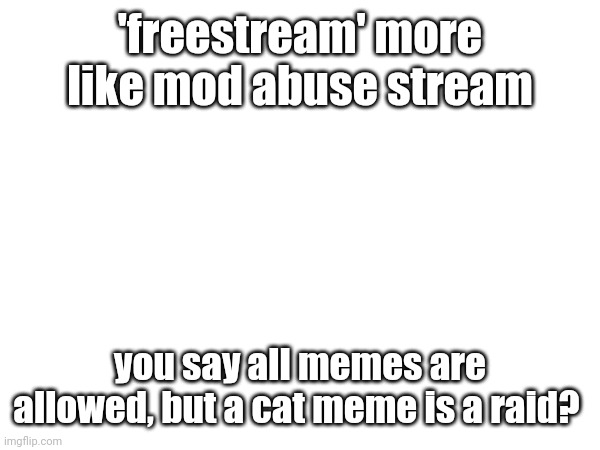 idk | 'freestream' more like mod abuse stream; you say all memes are allowed, but a cat meme is a raid? | image tagged in how are cat memes raids | made w/ Imgflip meme maker