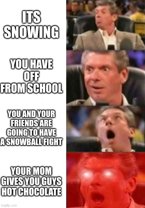 Mr. McMahon reaction | ITS SNOWING; YOU HAVE OFF FROM SCHOOL; YOU AND YOUR FRIENDS ARE GOING TO HAVE A SNOWBALL FIGHT; YOUR MOM GIVES YOU GUYS HOT CHOCOLATE | image tagged in mr mcmahon reaction | made w/ Imgflip meme maker