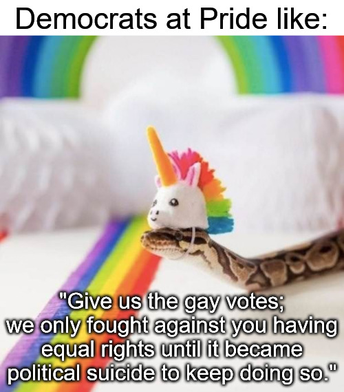 snake rainbow unicorn head | Democrats at Pride like:; "Give us the gay votes; we only fought against you having equal rights until it became political suicide to keep doing so." | image tagged in snake rainbow unicorn head,democrats,pride,gay pride,lgbtq | made w/ Imgflip meme maker