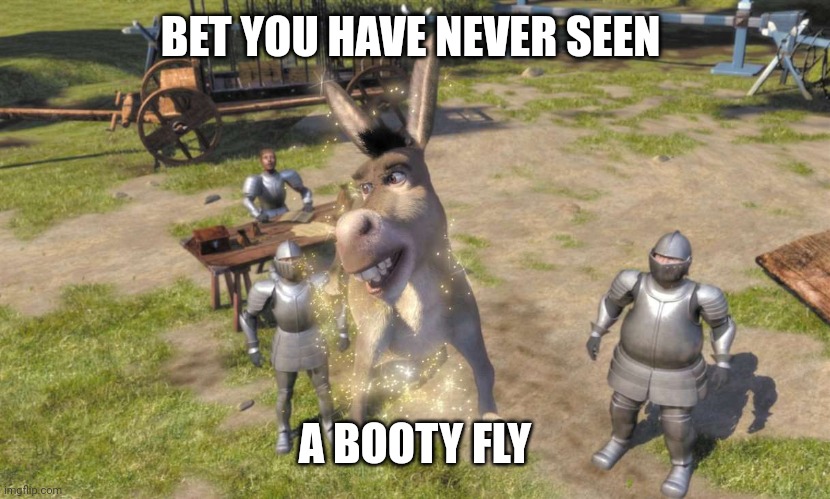 Booty Fly | BET YOU HAVE NEVER SEEN; A BOOTY FLY | image tagged in donkey from shrek,humor,comedy,comedian,philosophy | made w/ Imgflip meme maker