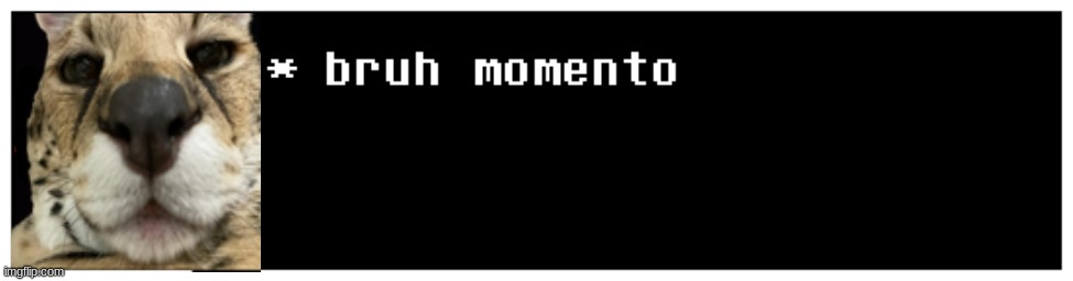 bruh momento | image tagged in bruh momento | made w/ Imgflip meme maker