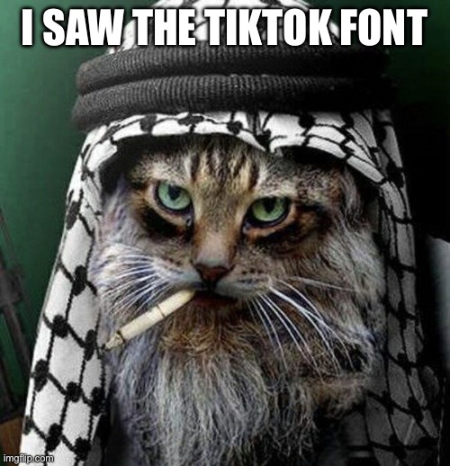 i saw what you deleted | I SAW THE TIKTOK FONT | image tagged in i saw what you deleted | made w/ Imgflip meme maker