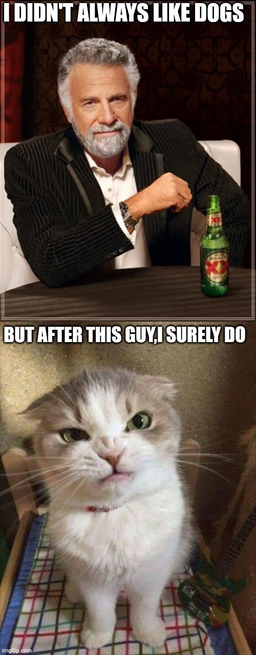 I DIDN'T ALWAYS LIKE DOGS; BUT AFTER THIS GUY,I SURELY DO | image tagged in memes,the most interesting man in the world,angry cat | made w/ Imgflip meme maker