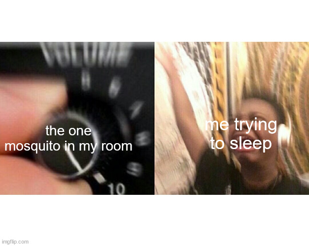 mosquitos be buzzin' in my ear you hear this? | me trying to sleep; the one mosquito in my room | image tagged in loud music | made w/ Imgflip meme maker