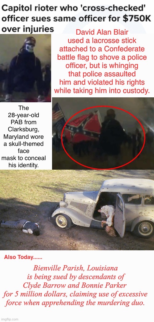 They Didn't Pat His Head Before Putting Him In The Cruiser | image tagged in snowflake,treated like a criminal,racist,domestic terrorist,did not mind wearing a mask,loser | made w/ Imgflip meme maker