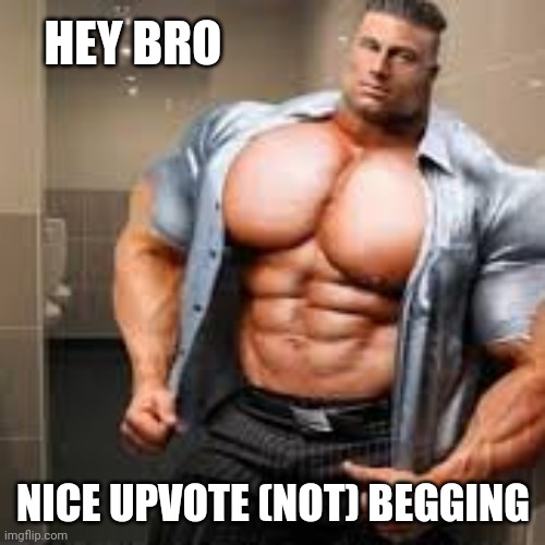 Hey bro nice d | HEY BRO NICE UPVOTE (NOT) BEGGING | image tagged in hey bro nice d | made w/ Imgflip meme maker