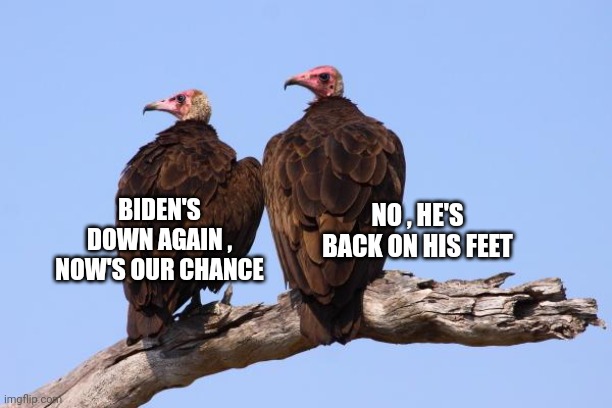 Vultures | BIDEN'S DOWN AGAIN , NOW'S OUR CHANCE NO , HE'S BACK ON HIS FEET | image tagged in vultures | made w/ Imgflip meme maker