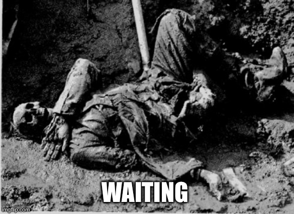 well rotting corpse | WAITING | image tagged in well rotting corpse | made w/ Imgflip meme maker