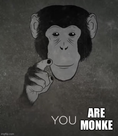 Monkey you | ARE MONKE | image tagged in monkey you | made w/ Imgflip meme maker