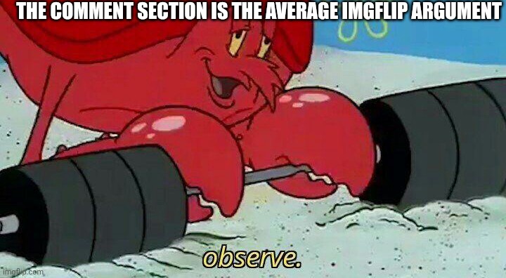 Observe | THE COMMENT SECTION IS THE AVERAGE IMGFLIP ARGUMENT | image tagged in observe,imgflip | made w/ Imgflip meme maker