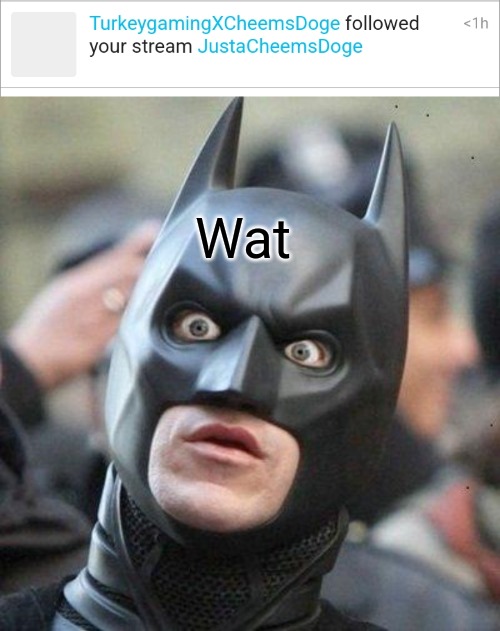 Those alts gone too far this time | Wat | image tagged in shocked batman,turkey,excuse me what the heck,i spot a turkey alt | made w/ Imgflip meme maker