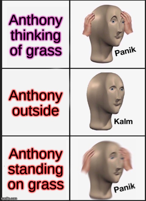 Panik Kalm Panik Meme | Anthony thinking of grass; Anthony outside; Anthony standing on grass | image tagged in memes,panik kalm panik | made w/ Imgflip meme maker