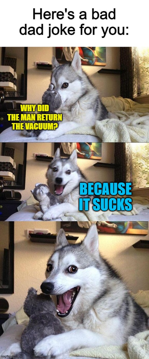 Heh... :P | Here's a bad dad joke for you:; WHY DID THE MAN RETURN THE VACUUM? BECAUSE IT SUCKS | image tagged in memes,bad pun dog | made w/ Imgflip meme maker