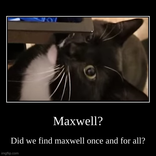 Maxwell? | Did we find maxwell once and for all? | image tagged in funny,demotivationals | made w/ Imgflip demotivational maker