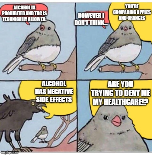 75hard | ALCOHOL IS PROHIBITED AND THC IS TECHNICALLY ALLOWED. YOU'RE COMPARING APPLES AND ORANGES; HOWEVER I DON'T THINK... ALCOHOL HAS NEGATIVE SIDE EFFECTS; ARE YOU TRYING TO DENY ME MY HEALTHCARE!? | image tagged in annoyed bird | made w/ Imgflip meme maker