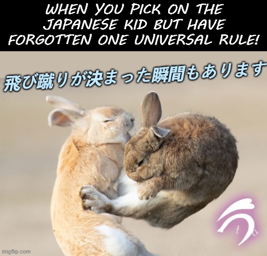K.O | WHEN YOU PICK ON THE JAPANESE KID BUT HAVE FORGOTTEN ONE UNIVERSAL RULE! | image tagged in funny,stereotypes,japanese,funny animals | made w/ Imgflip meme maker