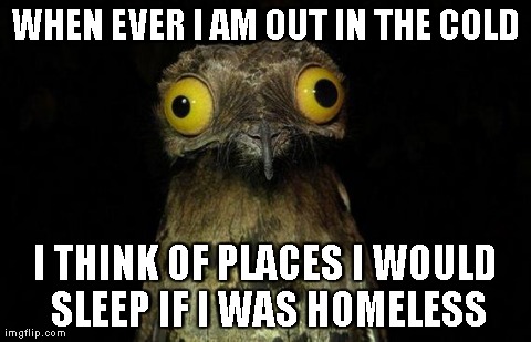 Weird Stuff I Do Potoo Meme | WHEN EVER I AM OUT IN THE COLD I THINK OF PLACES I WOULD SLEEP IF I WAS HOMELESS | image tagged in memes,weird stuff i do potoo,AdviceAnimals | made w/ Imgflip meme maker
