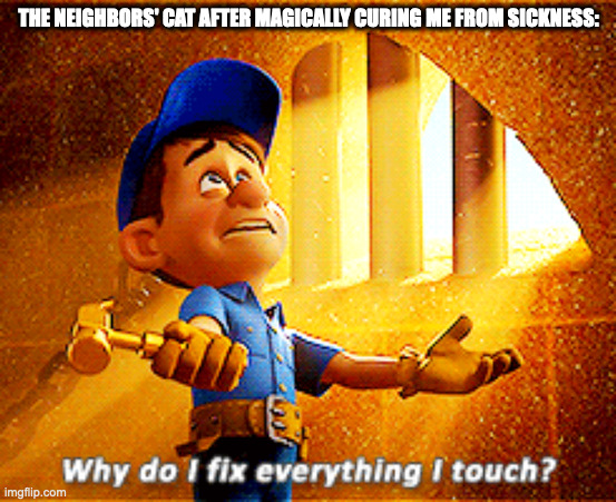 This is a joke btw | THE NEIGHBORS' CAT AFTER MAGICALLY CURING ME FROM SICKNESS: | image tagged in why do i fix everything i touch | made w/ Imgflip meme maker