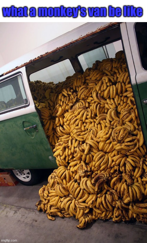 guy's vehicle from the maths problem | what a monkey's van be like | image tagged in guy's vehicle from the maths problem | made w/ Imgflip meme maker