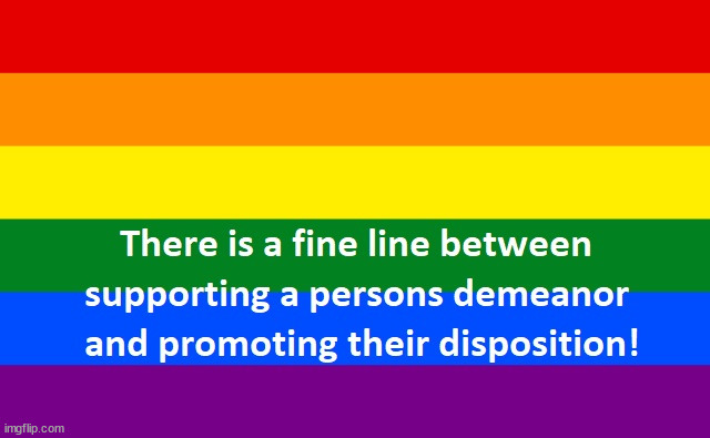 The Fine Line | image tagged in gay pride,flags,promoting,supporting,gay,lbgtq | made w/ Imgflip meme maker