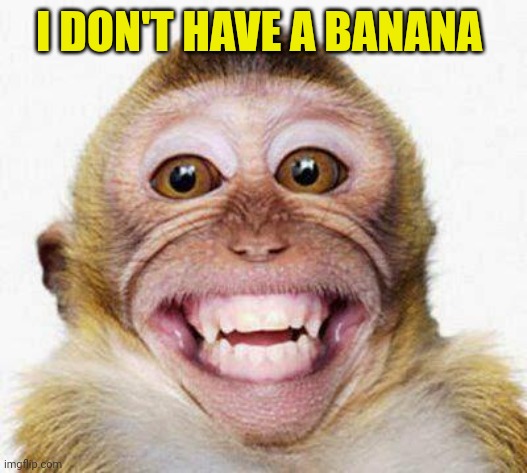 Monkey Smile | I DON'T HAVE A BANANA | image tagged in monkey smile | made w/ Imgflip meme maker