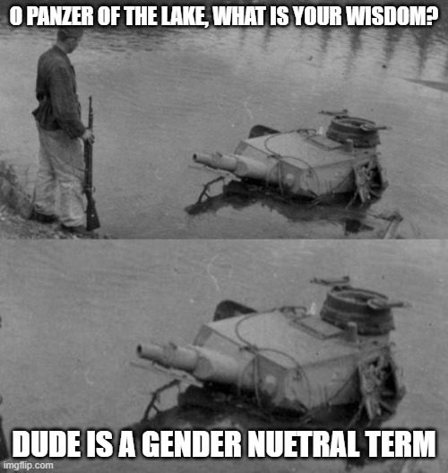 Panzer of the lake | O PANZER OF THE LAKE, WHAT IS YOUR WISDOM? DUDE IS A GENDER NUETRAL TERM | image tagged in panzer of the lake | made w/ Imgflip meme maker