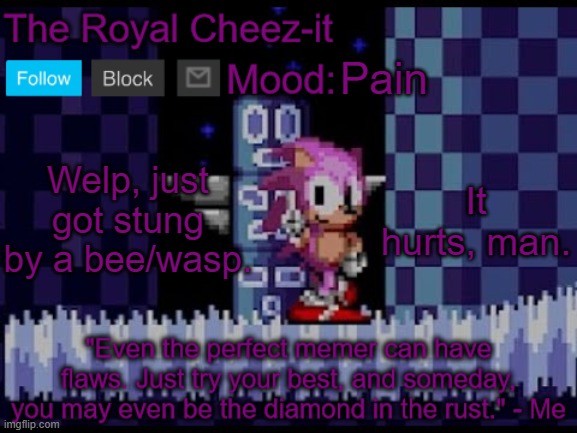 The-Royal-Cheez Rose Sonic Announcement | Pain; It hurts, man. Welp, just got stung by a bee/wasp. | image tagged in the-royal-cheez rose sonic announcement | made w/ Imgflip meme maker