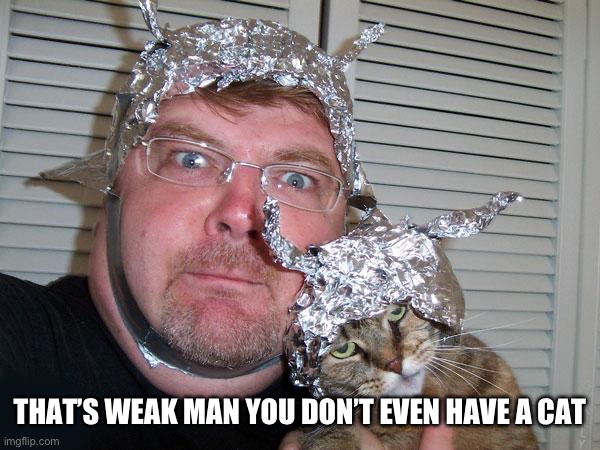 tin foil hat | THAT’S WEAK MAN YOU DON’T EVEN HAVE A CAT | image tagged in tin foil hat | made w/ Imgflip meme maker