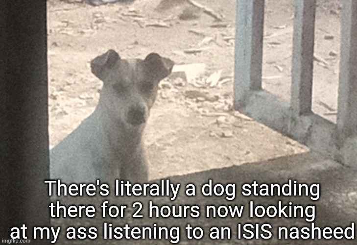 There's literally a dog standing there for 2 hours now looking at my ass listening to an ISIS nasheed | made w/ Imgflip meme maker