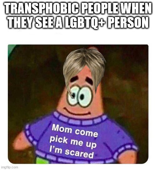 Patrick Mom come pick me up I'm scared | TRANSPHOBIC PEOPLE WHEN THEY SEE A LGBTQ+ PERSON | image tagged in patrick mom come pick me up i'm scared | made w/ Imgflip meme maker