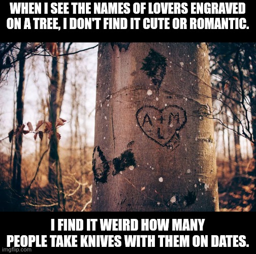 WHEN I SEE THE NAMES OF LOVERS ENGRAVED ON A TREE, I DON'T FIND IT CUTE OR ROMANTIC. I FIND IT WEIRD HOW MANY PEOPLE TAKE KNIVES WITH THEM ON DATES. | made w/ Imgflip meme maker
