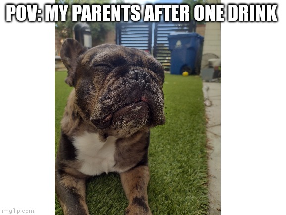 They really be getting tipsy over one beer | POV: MY PARENTS AFTER ONE DRINK | image tagged in doge,parents | made w/ Imgflip meme maker