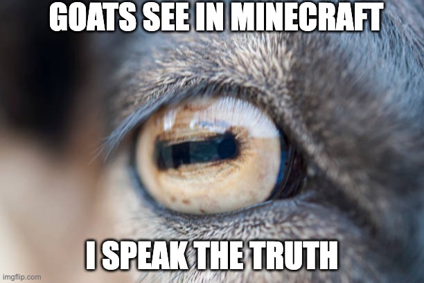 You know I am right | GOATS SEE IN MINECRAFT; I SPEAK THE TRUTH | image tagged in minecraft,goat,goats,funny | made w/ Imgflip meme maker
