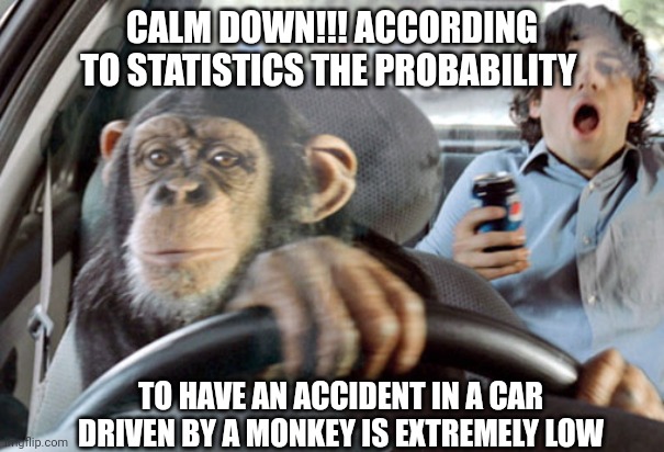 Monkey cab driver | CALM DOWN!!! ACCORDING TO STATISTICS THE PROBABILITY; TO HAVE AN ACCIDENT IN A CAR DRIVEN BY A MONKEY IS EXTREMELY LOW | image tagged in monkey cab driver | made w/ Imgflip meme maker