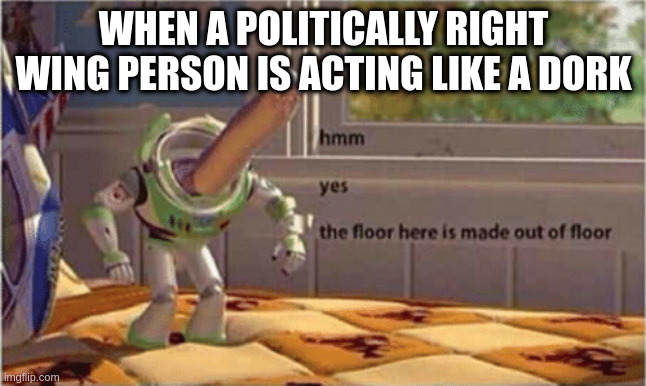 hmm yes the floor here is made out of floor | WHEN A POLITICALLY RIGHT WING PERSON IS ACTING LIKE A DORK | image tagged in hmm yes the floor here is made out of floor | made w/ Imgflip meme maker